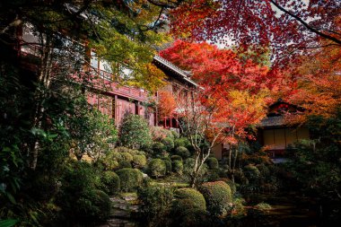 Tarihi Budist tapınağı 23 Kasım 2025 ile Japon Zen Bahçesi