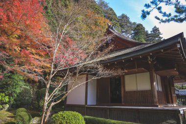 Huzurlu Budist tapınağı 23 Kasım 2025 'te yemyeşil dağ doğasıyla çevrili.