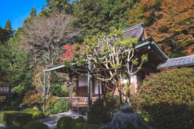 Huzurlu Budist tapınağı 23 Kasım 2025 'te yemyeşil dağ doğasıyla çevrili.