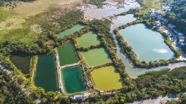 Geleneksel balık havuzu Luk Keng Jan 3 2026 'da kırsal sulak alanlarla çevrilidir.