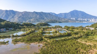 Luk Keng köyü yakınlarındaki huzurlu sazlıklar 3 Ocak 2026