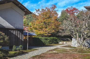 Geleneksel Japon mimarisine sahip barışçıl Budist tapınağı, 23 Kasım 2025