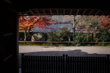 23 Kasım 2025 'te Kyoto' da Moss ve Stone Lantern 'li Serene Maple Garden.