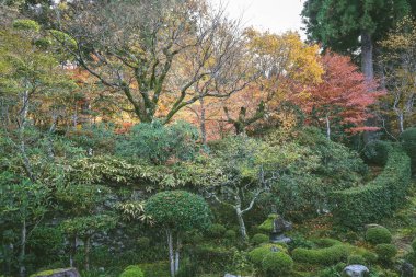Huzurlu Sanzen Meditasyonu Tapınak Bahçesinde Sonbahar sezonu, 23 Kasım 2025