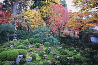 Huzurlu Sanzen Meditasyonu Tapınak Bahçesinde Sonbahar sezonu, 23 Kasım 2025