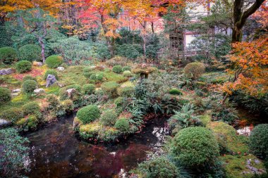 Huzurlu Sanzen Meditasyonu Tapınak Bahçesinde Sonbahar sezonu, 23 Kasım 2025