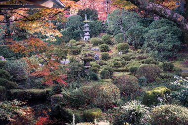 23 Kasım 2025 'te Kyoto' da Moss ve Stone Lantern 'li Serene Maple Garden.