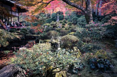23 Kasım 2025 'te Kyoto' da Moss ve Stone Lantern 'li Serene Maple Garden.