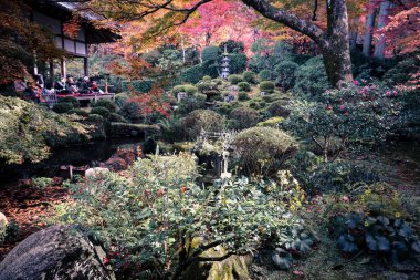 23 Kasım 2025 'te Kyoto' da Moss ve Stone Lantern 'li Serene Maple Garden.