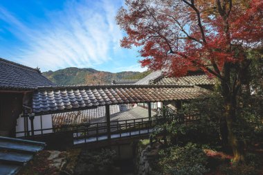 Geleneksel fayanslı çatıların yer aldığı sakin sonbahar köyü sahnesi, 23 Kasım 2025