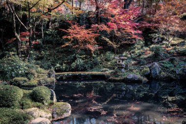 Maple Trees tarafından çevrelenmiş Serene Pond Kyoto Tapınağı Bahçesi, 23 Kasım 2025