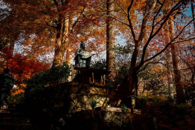 Geleneksel Zen Bahçe Tasarımı Moss ve Maple Trees, 23 Kasım 2025