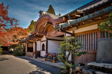 23 Kasım 2025 'te canlı akçaağaç yaprağının ortasında, Tapınak Moss Bahçesinde Tarihi Sanzen