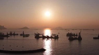 Yeni Yau Ma Tei Tayfun Sığınağı Vibrant Kowloon Rıhtımı boyunca, 24 Aralık 2025