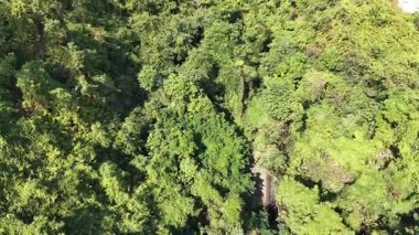 Parlak Gün Işığı Siu Sai Wu yakınlarındaki Konut Alanını Aydınlatıyor, 15 Ocak 2026