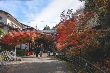 Barışçıl Japon dağ köyü 23 Kasım 2025 'te günlük kırsal yaşam