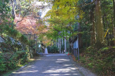 Barışçıl Japon dağ köyü 23 Kasım 2025 'te günlük kırsal yaşam