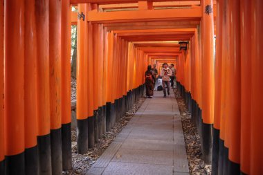 Fushimi Inari Bin Torii Kapısı Kültür Harikası 29 Kasım 2025