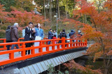 Fushimi Inari Taisha Sahnesi Kırmızı Köprü Güzelliği No: 29 2025
