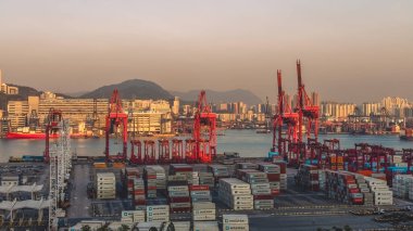 Altın güneş ışığı, 10 Ocak 2026 'da terminal vinçlerini ve liman sularını vurguluyor.