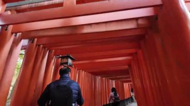 Fushimi Inari Taisha Honden Kutsal Salon, 29 Kasım 2025