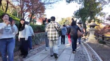 Fushimi Inari Taisha Honden Kutsal Salon, 29 Kasım 2025