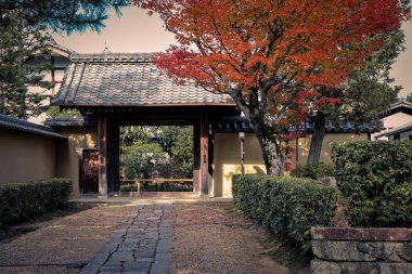 Sıcak mevsimlik yapraklar, ahşap giriş ve taş yolu vurguluyor