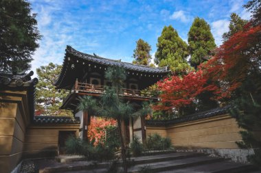 Rinzai Zen Tapınağı sakin mevsimlik bahçe manzarası sunuyor 24 Kasım 2025