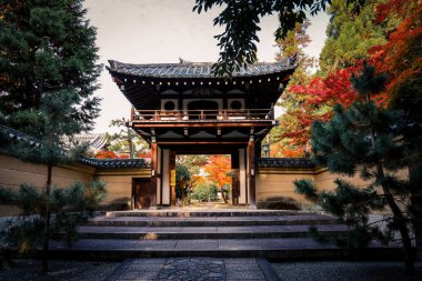 Rinzai Zen Tapınağı sakin mevsimlik bahçe manzarası sunuyor 24 Kasım 2025