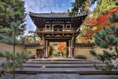 Rinzai Zen Tapınağı sakin mevsimlik bahçe manzarası sunuyor 24 Kasım 2025