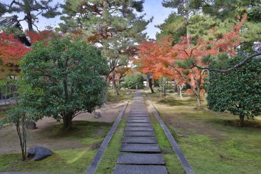 Rinzai Zen Tapınağı sakin mevsimlik bahçe manzarası sunuyor 24 Kasım 2025