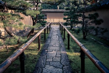 Bambu korkuluklar yol gösterici çam ağaçları ve yosunlarla çevrili 24 Kasım 2025