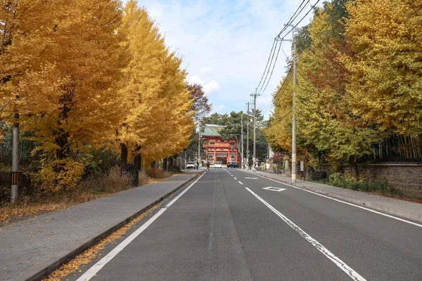 Tarihi Shinto tapınağı yolu 24 Kasım 2025 'te canlı sonbahar ginkgo ağaçlarıyla kaplı.