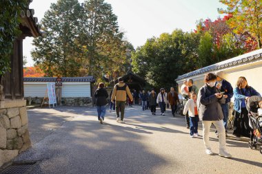 Kyoto, Japonya 'da sonbahar yeşillikleri ve sakin bir atmosferi var.