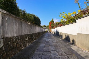 Kyoto, Japonya 'da sonbahar yeşillikleri ve sakin bir atmosferi var.