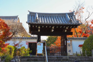 Kyoto, Japonya 'da sonbahar yeşillikleri ve sakin bir atmosferi var.