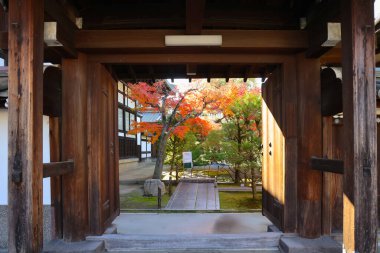 Kyoto, Japonya 'da sonbahar yeşillikleri ve sakin bir atmosferi var.
