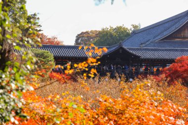 Canlı sonbahar yapraklarıyla çevrili tarihi ahşap köprü.