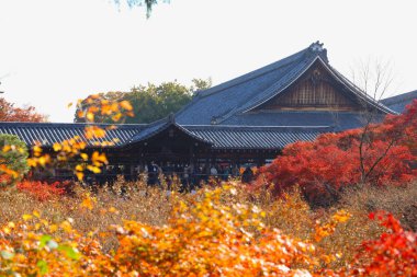 Canlı sonbahar yapraklarıyla çevrili tarihi ahşap köprü.