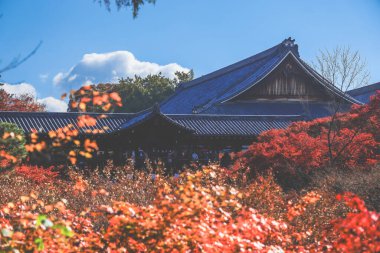 Canlı sonbahar yapraklarıyla çevrili tarihi ahşap köprü.