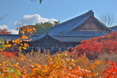Canlı sonbahar yapraklarıyla çevrili tarihi ahşap köprü.