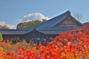 Canlı sonbahar yapraklarıyla çevrili tarihi ahşap köprü.
