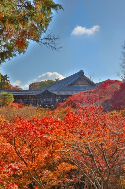 Canlı sonbahar yapraklarıyla çevrili tarihi ahşap köprü.