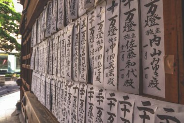 Geleneksel fener görüntüsü canlı kültürel atmosfer yaratıyor. 29 Kasım 2025