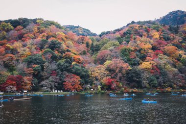 Arashiyama 24 Kasım 2025 'te Sonbahar Renkleri Ortasında Manzaralı Nehir Yolculuğu