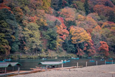Arashiyama 24 Kasım 2025 'te Sonbahar Renkleri Ortasında Manzaralı Nehir Yolculuğu