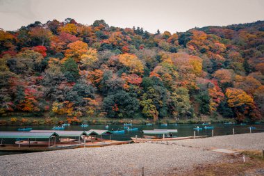 Arashiyama 24 Kasım 2025 'te Sonbahar Renkleri Ortasında Manzaralı Nehir Yolculuğu