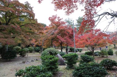 Kyoto 'daki Tarihi Park ve Sahne Hillside 24 Kasım 2025