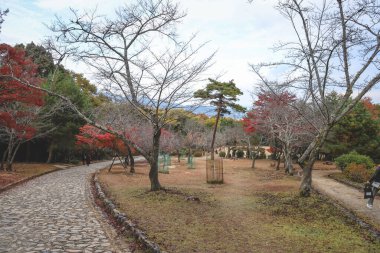 Kyoto 'daki Tarihi Park ve Sahne Hillside 24 Kasım 2025