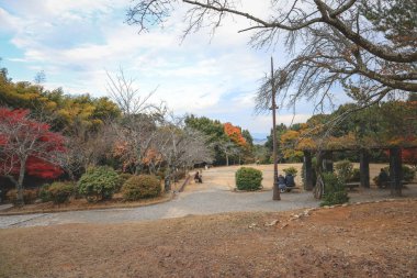 Kyoto 'daki Tarihi Park ve Sahne Hillside 24 Kasım 2025